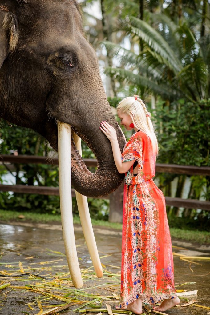 female, elephant, model, portrait, fashion, elephant, elephant, elephant, elephant, elephant