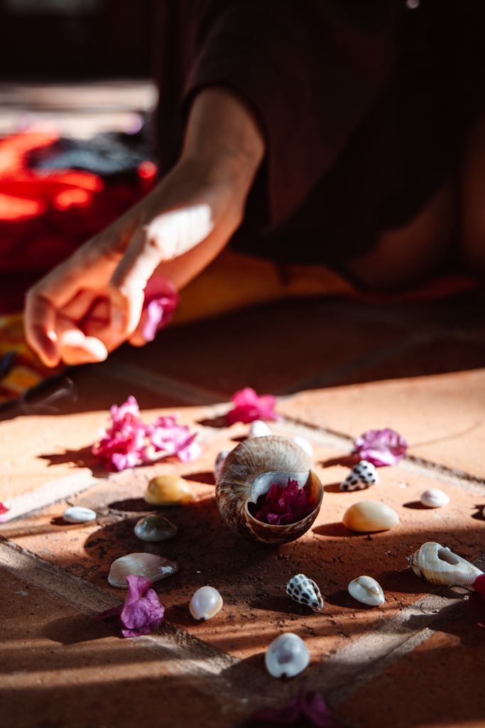 A close-up of seashells and pink petals arranged artistically on terracotta tiles under sunlight.