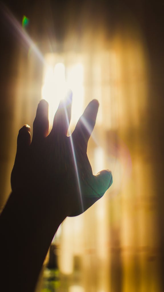 A hand reaching towards bright sunlight, creating a silhouette effect and lens flare.